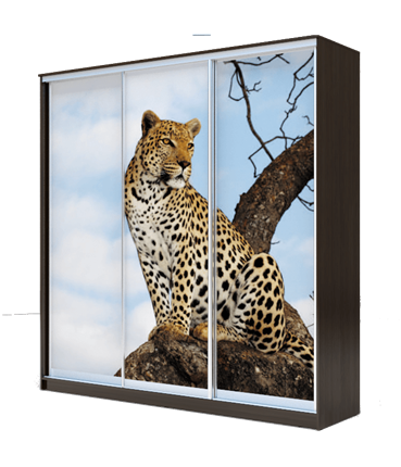 Шкаф 2400х1770х420, Леопард ХИТ 24-4-18-777-04 Венге Аруба в Южно-Сахалинске - изображение