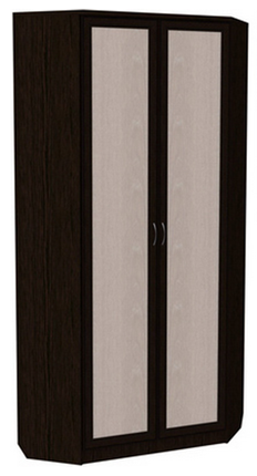 Шкаф распашной 401 угловой со штангой, цвет Венге в Южно-Сахалинске - изображение