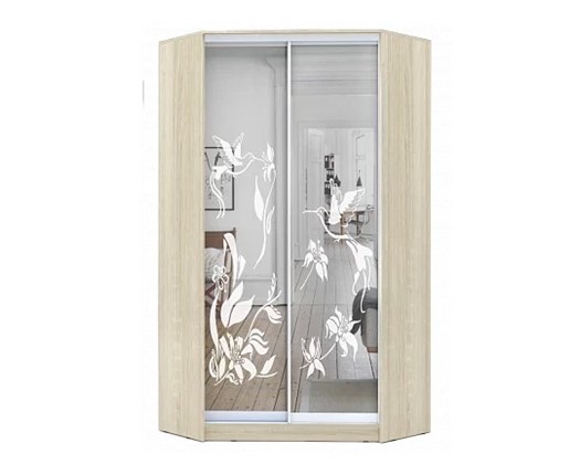 Угловой шкаф 2200х1103, ХИТ У-22-4-66-03, колибри, 2 зеркала, Дуб Сонома в Южно-Сахалинске - изображение