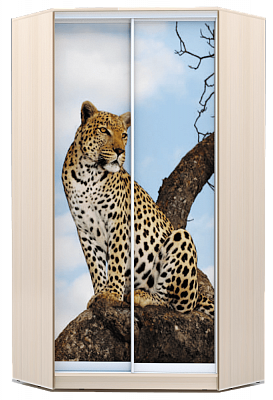Угловой шкаф 2200х1103, ХИТ У-22-4-77-04, Леопард, дуб млечный в Южно-Сахалинске - изображение