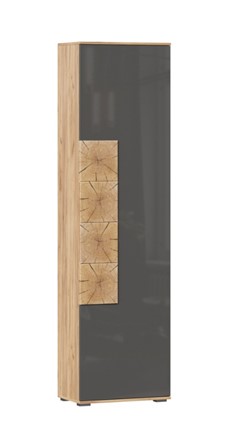 Шкаф одностворчатый Фиджи с декоративными накладками 659.300, Дуб Золотой/Антрацит в Южно-Сахалинске - изображение