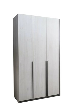 Распашной шкаф Винтер-3, винтерберг/темно-серый в Южно-Сахалинске - изображение