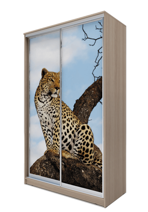 Шкаф 2-х дверный 2300х1500х420, Леопард ХИТ 23-4-15-77-04 Дуб Млечный в Южно-Сахалинске - изображение