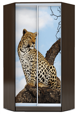 Шкаф угловой 2200х1103, ХИТ У-22-4-77-04, Леопард, венге аруба в Южно-Сахалинске - изображение