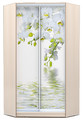 Шкаф угловой 2300х1103, ХИТ У-23-4-77-05, Белая орхидея, дуб млечный в Южно-Сахалинске - изображение
