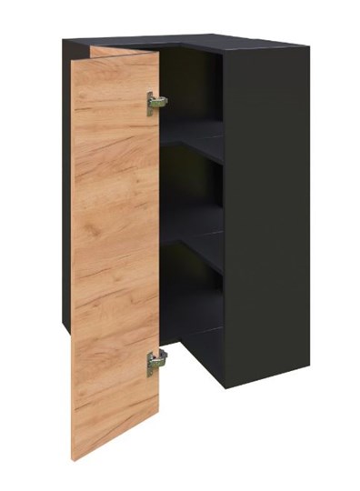Шкаф кухонный угловой высокий Шервуд, ЛД 281.570.000.043, дуб золотой/черный в Южно-Сахалинске - изображение 1
