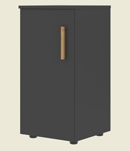 Низкий шкаф колонна с левой дверью FORTA Черный Графит FLC 40.1 (L) (399х404х801) в Южно-Сахалинске