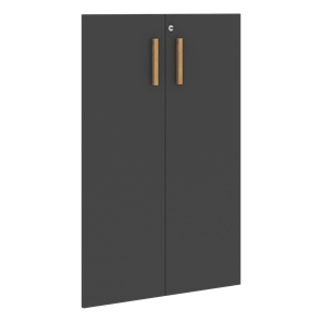 Средние двери для шкафов с замком FORTA Черный Графит FMD 40-2(Z) (794х18х1164) в Южно-Сахалинске