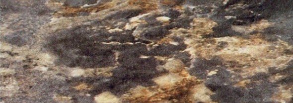 Кухонная столешница 100*60 см Королевский опал темный в Южно-Сахалинске - изображение
